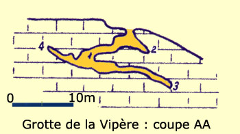 COUPE-VIPERE